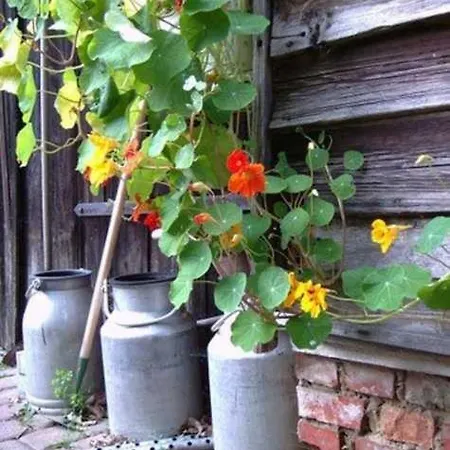 Appartamento Ruegen 40 Bantow (Vorpommern-Rugen)